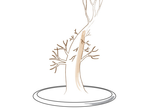 bonsai branches